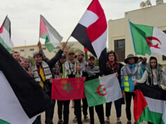 Forças líbias detêm ativistas do comboio terrestre de Gaza no posto de controle de Sirte Forças líbias detêm ativistas do comboio terrestre de Gaza no posto de controle de Sirte