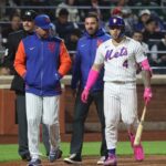 O apanhador do New York Mets, Francisco Alvarez, foi retirado do jogo após se machucar em um golpe.