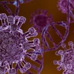 Gejala Awal Hantavírus yang Perlu Diwaspadai, Mirip Flu tapi Bisa Berujung Fatal