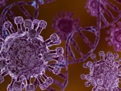 Gejala Awal Hantavírus yang Perlu Diwaspadai, Mirip Flu tapi Bisa Berujung Fatal Gejala Awal Hantavírus yang Perlu Diwaspadai, Mirip Flu tapi Bisa Berujung Fatal