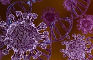 OMS Klaim Tak Ada Laporan Kematian Baru Wabah Hantavirus Sejak 2 Mei Gejala Awal Hantavírus yang Perlu Diwaspadai, Mirip Flu tapi Bisa Berujung Fatal