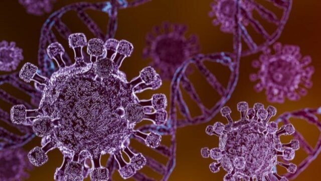 Gejala Awal Hantavírus yang Perlu Diwaspadai, Mirip Flu tapi Bisa Berujung Fatal
