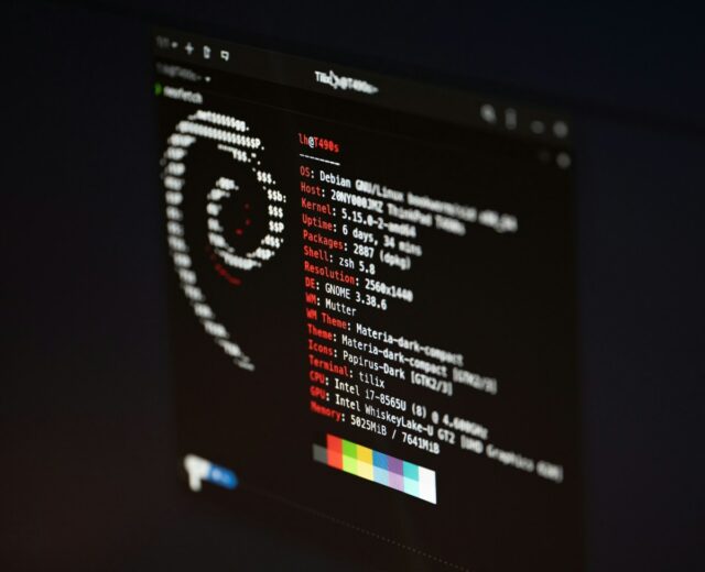 a screenshot of Debian Linux on a black screen with a white terminal font