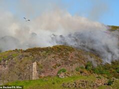 Grande incêndio na grama se espalha por Arthur’s Seat enquanto a onda de calor aumenta as temperaturas em partes do Reino Unido Um incêndio ocorreu no Trono de Arthur, acima das ruínas da Capela de Santo Antônio, na noite de segunda-feira