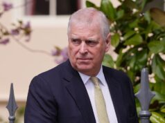 Homem acusado de ameaçar o ex-príncipe Andrew perto da casa de Sandringham se declara inocente em tribunal Homem acusado de ameaçar o ex-príncipe Andrew perto da casa de Sandringham se declara inocente em tribunal