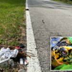 Uma tartaruga na linha branca de uma estrada de asfalto ao lado de grama e lixo.