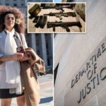 Homem de Nova York contratado pelo regime iraniano para 'perseguir e assassinar' jornalista dissidente é condenado