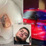 Homem de Oregon baleado no drive-thru In-N-Out levou família para um local seguro com bala alojada na cabeça