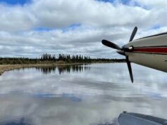 Homem morre após encontro com urso no norte de Saskatchewan Ícone de conversão de texto em fala