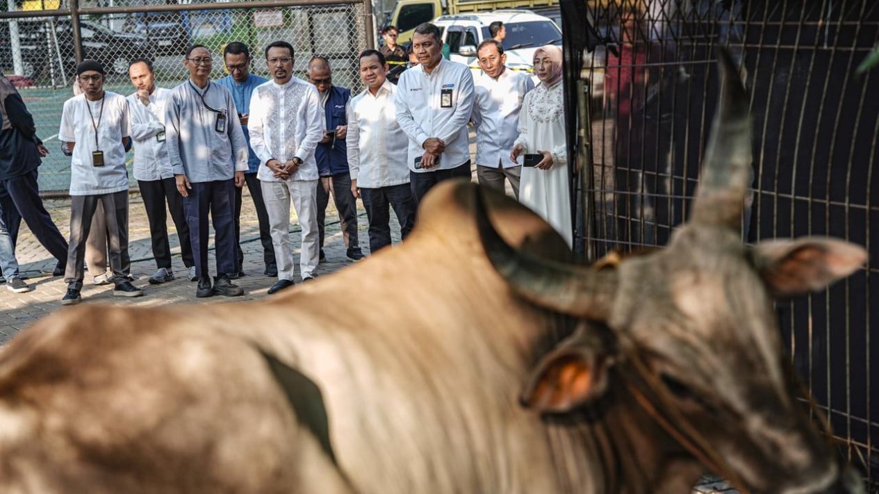 Idul Adha 2026, Pertamina Patra Niaga Tebar 2.031 Hewan Kurban ke Seluruh Indonésia