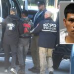 Imigrante ilegal preso por provocar uma série de incêndios “perigosos” em Long Island – entregue ao ICE porque as acusações não são elegíveis para fiança: autoridades
