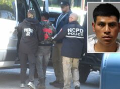 Imigrante ilegal preso por provocar uma série de incêndios “perigosos” em Long Island – entregue ao ICE porque as acusações não são elegíveis para fiança: autoridades Imigrante ilegal preso por provocar uma série de incêndios “perigosos” em Long Island – entregue ao ICE porque as acusações não são elegíveis para fiança: autoridades