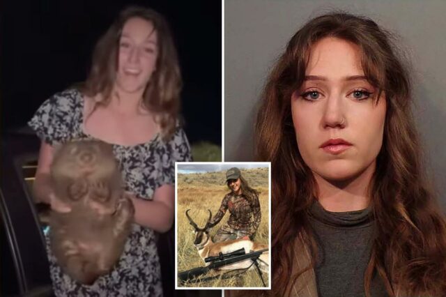 Influenciador que causou indignação na Austrália por sequestrar um bebê Influenciador que causou indignação na Austrália por sequestrar um bebê wombat enfrenta pena de prisão no Wyoming por violações de caça