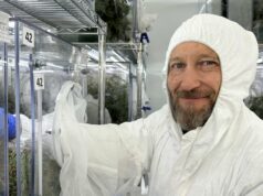 Instalação de biocontrole visa floresta invasora que ameaça insetos Homem em traje de proteção