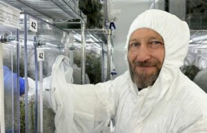 Instalação de biocontrole visa floresta invasora que ameaça insetos Homem em traje de proteção
