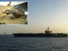 Irã está de olho em golfinhos transportadores de minas para atacar navios de guerra dos EUA no Estreito de Ormuz Um golfinho com a boca aberta sobre uma esteira de transferência, com uma pessoa ao fundo.