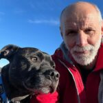 Os moradores locais passaram três dias procurando pelo funcionário Jock, que se libertou das garras do proprietário Andrew Charleton durante uma de suas caminhadas em Northumberland