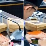 Jogo principal Viral Anggota DPRD Jember Asik e Merokok Saat Rapat Bahas Stunting
