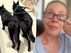 Kate Gosselin desaba com a ‘tensão’ de adotar um cão de resgate no choroso TikTok Kate Gosselin desaba com a 'tensão' de adotar um cão de resgate no choroso TikTok