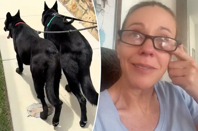 Kate Gosselin desaba com a 'tensão' de adotar um cão Kate Gosselin desaba com a 'tensão' de adotar um cão de resgate no choroso TikTok