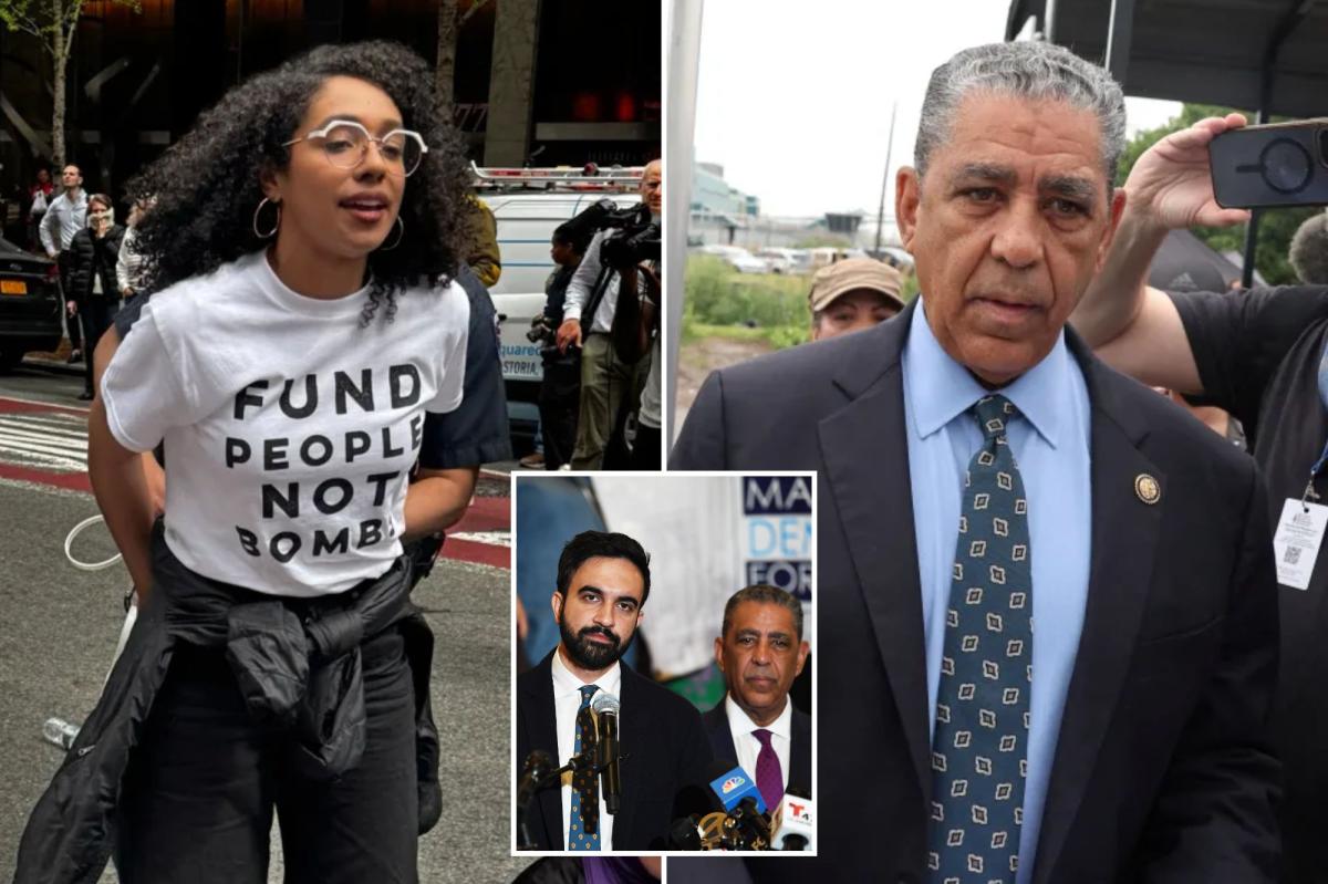 Mamdani apóia o candidato ao Congresso aprovado pelo DSA em vez do antigo titular Adriano Espaillat