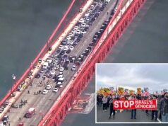 Manifestantes no fechamento da Ponte Golden Gate enfrentam punição brutal no início do julgamento Manifestantes no fechamento da Ponte Golden Gate enfrentam punição brutal no início do julgamento