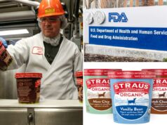 Marca popular de sorvete faz recall de vários sabores em 17 estados por causa de ‘material estranho de metal’ Marca popular de sorvete faz recall de vários sabores em 17 estados por causa de 'material estranho de metal'