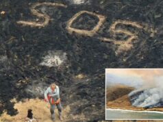 Marinheiro resgatado na hora certa, enquanto um enorme e recorde incêndio florestal engolfava a ilha da Califórnia O marinheiro foi encontrado perto de grande