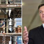'Migração em massa': resposta de Taylor para restringir imigrantes