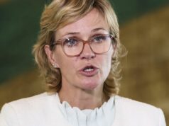 ‘Modelos falhos’: o partido Teal não se pareceria com os Trabalhistas, Liberais, diz MP Zali Steggall diz que não se arrepende de ter chamado Peter Dutton.
