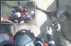 Momento dramático, equipes de resgate colocam o alpinista em segurança após a queda horrível do Monte Buffalo, na Austrália Momento dramático, equipes de resgate colocam o alpinista em segurança após a queda horrível do Monte Buffalo, na Austrália