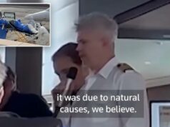Momento estranho, passageiros de cruzeiro contaram sobre a primeira morte por hantavírus: ‘O navio está seguro’ Momento estranho, passageiros de cruzeiro contaram sobre a primeira morte por hantavírus: ‘O navio está seguro’