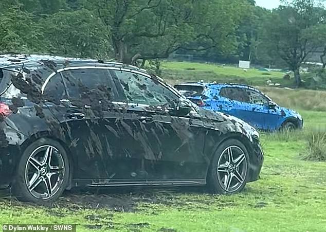 Momento furioso, agricultor espalha lama em dezenas de carros de Um fazendeiro furioso pulverizou dezenas de carros com lama durante a onda de calor, depois que eles estacionaram ilegalmente em um campo perto de Rydal Water, em Lake District, Cumbria.