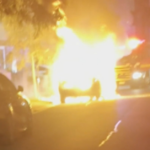 Uma casa próxima foi salva, mas dois carros foram destruídos.