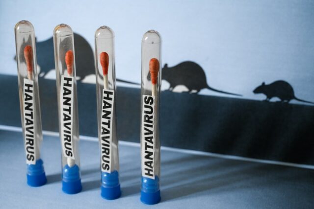 ILLUSTRATION of a hantavirus testing concept with laboratory tubes containing cotton swabs and HANTAVIRUS labels alongside rat silhouettes in the background evoking rodent-borne transmission, photographed in Paris, France, May 4, 2026. (Photo by Joao Luiz Bulcao / Hans Lucas / AFP via Getty Images)