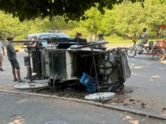 Motorista ferido após cavalo assustado bater em outra carruagem no parque de Nova York: ‘É uma loucura’ Motorista ferido após cavalo assustado bater em outra carruagem no parque de Nova York: 'É uma loucura'