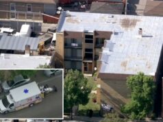 Mulher de Chicago esfaqueia menina até a morte com faca antes de pular da janela: policiais Vista aérea de veículos de emergência e carros de polícia em uma rua residencial.