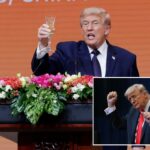 Músicos chineses presenteiam Trump com 'YMCA' durante jantar de Estado