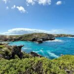 A vítima de 38 anos, ainda não identificada, foi mordida na manhã de sábado em Horseshoe Reef, perto da Ilha Rottnest, cerca de 30 quilômetros a oeste da capital do estado, Perth.