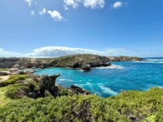 Nadador morto em ataque de tubarão na costa australiana A vítima de 38 anos, ainda não identificada, foi mordida na manhã de sábado em Horseshoe Reef, perto da Ilha Rottnest, cerca de 30 quilômetros a oeste da capital do estado, Perth.