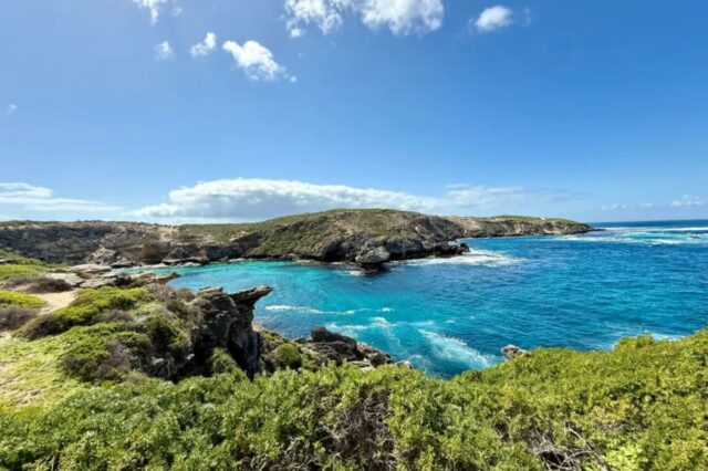 A vítima de 38 anos, ainda não identificada, foi mordida na manhã de sábado em Horseshoe Reef, perto da Ilha Rottnest, cerca de 30 quilômetros a oeste da capital do estado, Perth.