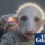 'Não há regras': destaque para Gossip Goblin enquanto a produção de filmes de IA entra em uma nova era