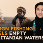 Navios de pesca estrangeiros esvaziam águas mauritanas