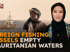 Navios de pesca estrangeiros esvaziam águas mauritanas Navios de pesca estrangeiros esvaziam águas mauritanas