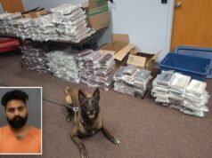 Nebraska K9 fareja 525 libras de cocaína durante uma parada de trânsito de rotina, levando à prisão de um homem na Califórnia Nebraska K9 fareja 525 libras de cocaína durante uma parada de trânsito de rotina, levando à prisão de um homem na Califórnia