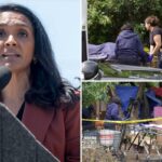 Nithya Raman abandona US $ 4 milhões para limpeza de acampamento de sem-teto durante corrida para prefeito de Los Angeles