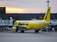 Nós aceitamos: um TikToker faz promessas de comprar a Spirit Airlines após seu colapso abrupto no fim de semana Nós aceitamos: um TikToker faz promessas de comprar a Spirit Airlines após seu colapso abrupto no fim de semana