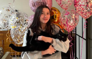 Novo golpe de IA direcionado a donos de animais de estimação Quando o gato de Sarah desapareceu e ela recebeu uma mensagem de alguém pedindo para vê-la, ela ficou esperançosa.