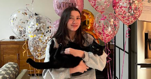 Quando o gato de Sarah desapareceu e ela recebeu uma mensagem de alguém pedindo para vê-la, ela ficou esperançosa.