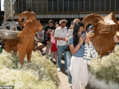 O Chelsea Flower Show é considerado ‘horrível’ devido às mega multidões e ao influxo de influenciadores, já que os organizadores estão ansiosos para renovar o evento Os entusiastas dos jardins estão fartos de influenciadores e celebridades ocupando o centro das atenções sobre as flores no Chelsea Flower Show